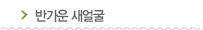 ݰ 